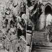 View of steps.
Negative insc: 'James M Davis, New York, St Louis, Liverpool, Toronto, Sydney', 'Copyright 1891 by B W Kilburn', '6281, Climbing the Rocks, Dumbarton Castle, Scotland'.