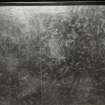 17 Pilrig Street, interior
Ground floor stair hall, wallpaper detail