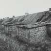 Edinburgh, Newcraighall, Whitehill Street.
Rear view of cottages from North-West.