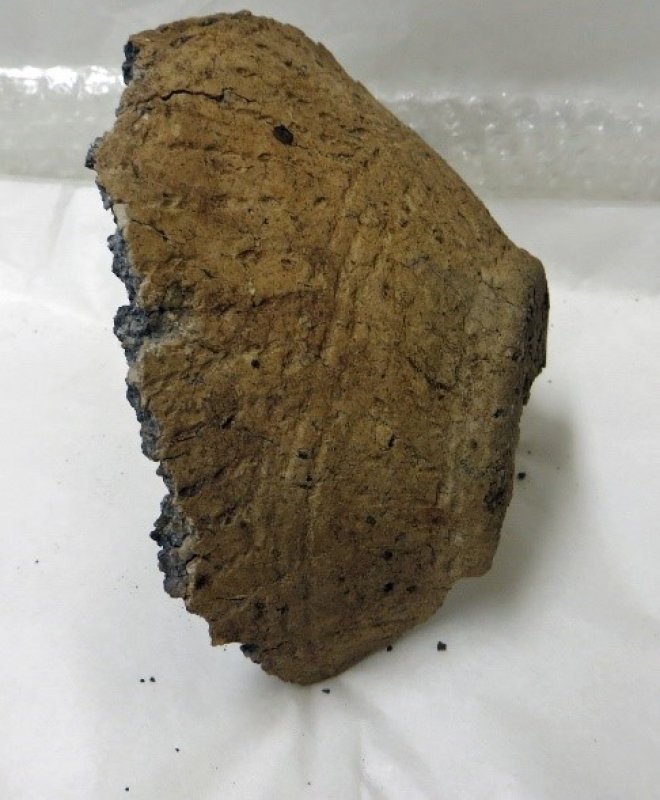 Close up of a fragment of pottery, including the rim. Linear designs can be seen running across the surface of the vessel.
