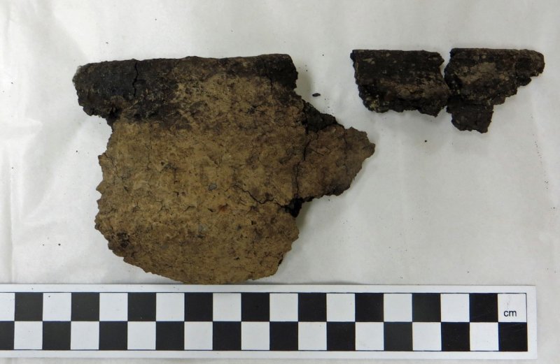 Two fragments of pottery vessel.