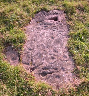 View of cup and ring marked sheet of bedrock from the NE