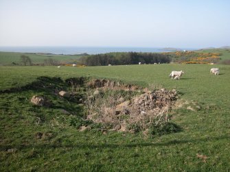 View of quarry and field clearance from NE