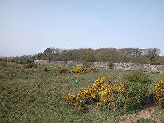 View of walled Garden at Balmae from the E