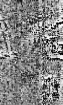 Greyscale image of processed geophysical (fluxgate gradiometry) survey results.