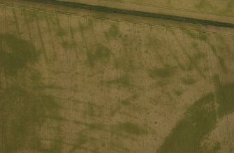 Oblique aerial view of the cropmarks of pit-defined cursus, pits and rig taken from the N.