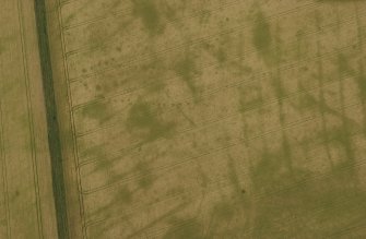 Oblique aerial view of the cropmarks of pit-defined cursus, pits and rig taken from the E.