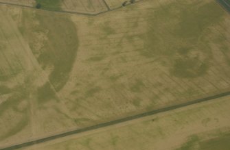 Oblique aerial view of the cropmarks of pit-defined cursus, pits and rig taken from the SSW.