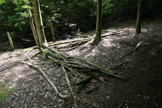 View of shelter (NT c. 232 645) in woodland to W of Woodhouselee