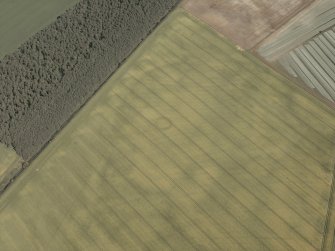 Oblique aerial view centred on the cropmarks of the enclosure and rig, taken from the W.