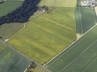 Oblique aerial view centred on the cropmarks of the the ring ditches, taken from the S.