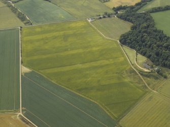 Oblique aerial view centred on the cropmarks of the the ring ditches, taken from the ENE.