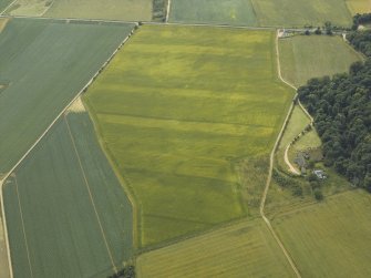 Oblique aerial view centred on the cropmarks of the the ring ditches, taken from the NE.