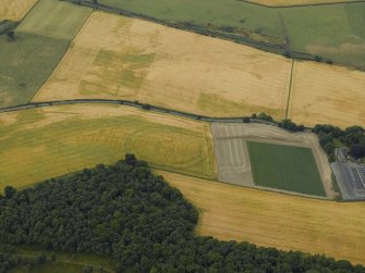 Oblique aerial view centred on the cropmarks of the fort, taken from the NE.