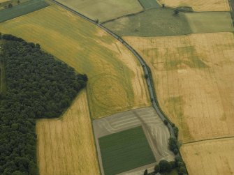 Oblique aerial view centred on the cropmarks of the fort, taken from the NNW.