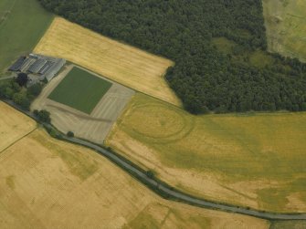 Oblique aerial view centred on the cropmarks of the fort, taken from the SSW.