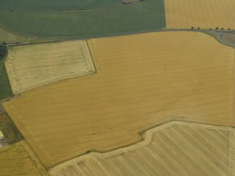 Oblique aerial view centred on the cropmarks of the airfield, taken from the NE.