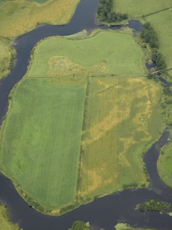 Oblique aerial view centred on the cropmarks of the settlement, taken from the SW.