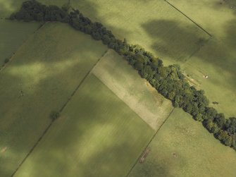 Oblique aerial view of the parchmarks of the settlement, taken from the SW.