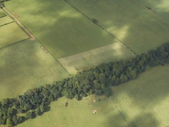 Oblique aerial view of the parchmarks of the settlement, taken from the ENE.