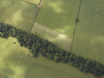 Oblique aerial view of the parchmarks of the settlement, taken from the NE.