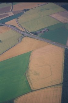 Oblique aerial view of linear crop mark, Charlesfield towards Upper Cairnie farm, from E.  Also parts of Upper Cairnie East enclosure in foreground (aircraft at c.NO 042 193).