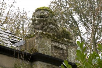 NW Stone lion. Detail