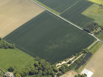 Oblique aerial view centred on the cropmarks of the pit-alignment and possible unenclosed settlement, taken from the NNW.