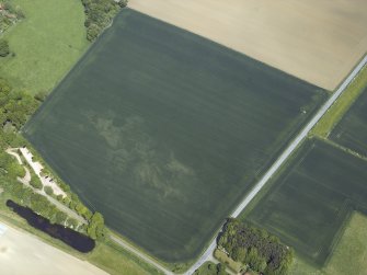 Oblique aerial view centred on the cropmarks of the pit-alignment and possible unenclosed settlement, taken from the SSW.