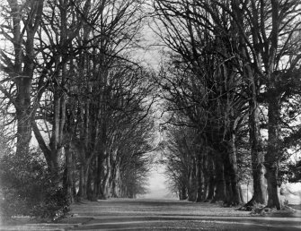 View of the avenue at Kinnaird House in winter.