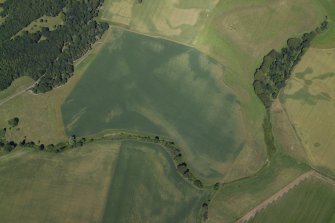 Oblique aerial view centred on the cropmarks of the ring-ditches, enclosures and rig and the linear cropmarks, taken from the SW.