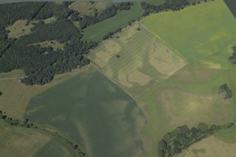 Oblique aerial view centred on the cropmarks of the ring-ditches, enclosures and rig and the linear cropmarks with the cropmarks of the pits adjacent, taken from the S.
