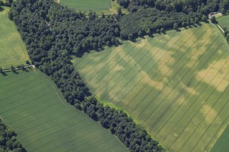 Oblique aerial view centred on the cropmarks of the ring-ditch and barrows with the remains of the stone adjacent, taken from the E.
