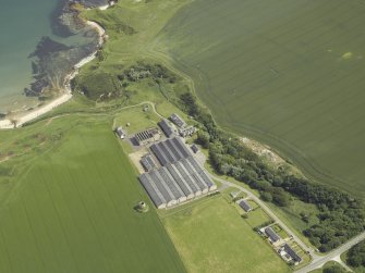 Oblique aerial view centred on the whisky distillery with the remains of the windmill adjacent, taken from the SW.