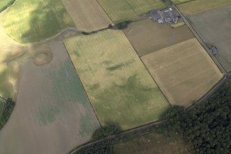 Oblique aerial view centred on the cropmarks of the plantation bank with the farmhouse, farmsteading and remains of the motte-and-bailey castle adjacent, taken from the SSE.