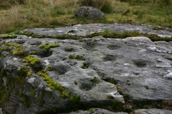 Detail of cupmarks on northernmost outcrop in group, viewed from NW.