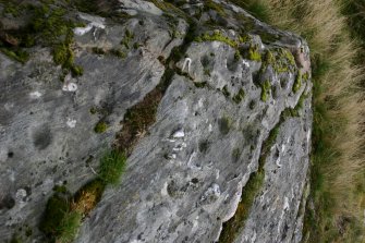 Detail of cupmarks on northernmost outcrop in group, viewed from W.