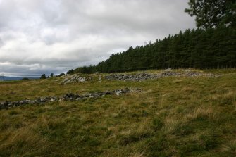 General view of outcrops bearing cupmarks, taken from SE