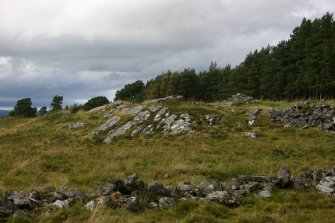 General view of outcrops bearing cupmarks, taken from E.