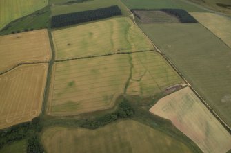 General oblique aerial view centred on the cropmarks of the field boundary, taken from the ESE.