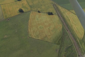 Oblique aerial view centred on the cropmarks of the enclosure and ring-ditch, taken from the NE.