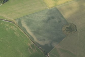 Oblique aerial view centred on the cropmarks of the souterrain and roundhouse, taken from the ESE.