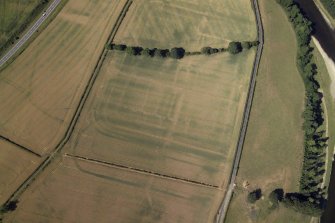 Oblique aerial view centred on the cropmarks of the Roman fort and fort annexes, taken from the NE.