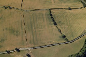 Oblique aerial view centred on the cropmarks of the Roman fort and fort annexes, taken from the N.