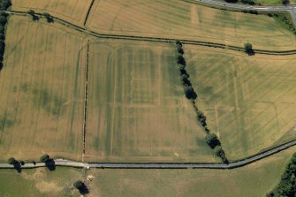 Oblique aerial view centred on the cropmarks of the Roman fort and fort annexes, taken from the NNW.