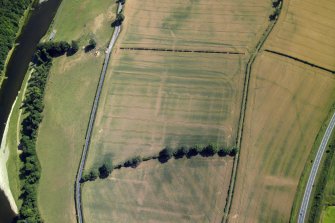 Oblique aerial view centred on the cropmarks of the Roman fort and fort annexes, taken from the SW.