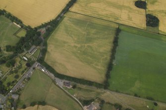 Oblique aerial view centred on the linear cropmarks with the remains of the tower-house adjacent, taken from the SE.