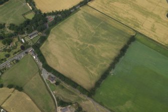 Oblique aerial view centred on the linear cropmarks with the remains of the tower-house adjacent, taken from the ESE.