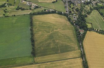 Oblique aerial view centred on the linear cropmarks with the remains of the tower-house adjacent, taken from the NNW.
