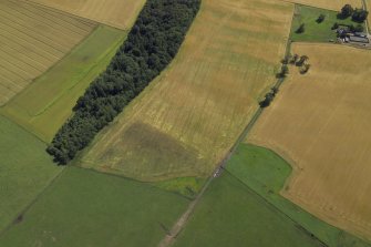 Oblique aerial view centred on the cropmarks of the palisaded settlement with the fortified house adjacent, taken from the NW.